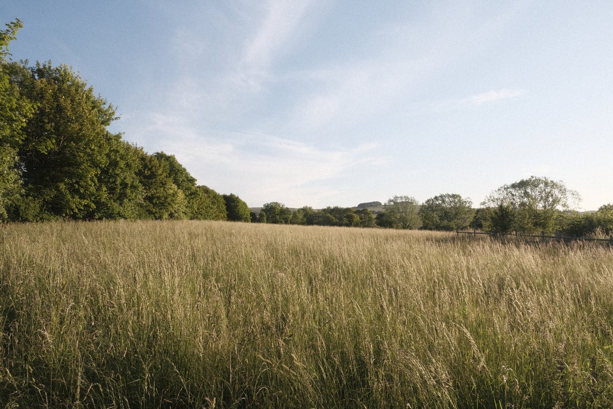 A field near Letcombe Regis